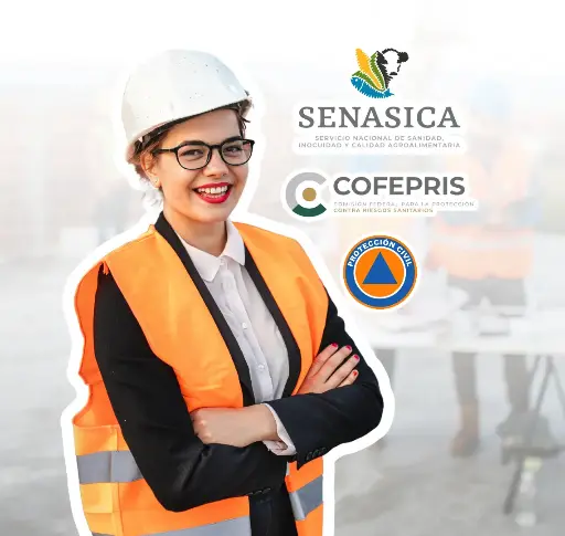 Consultoría en Cumplimiento Normativo